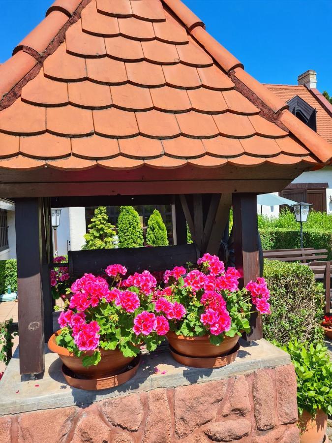 Hotel Agas Vendeghaz Csopak Zewnętrze zdjęcie