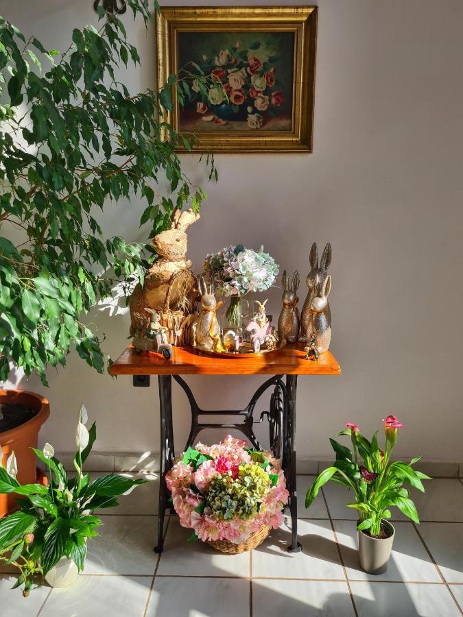 Hotel Agas Vendeghaz Csopak Zewnętrze zdjęcie
